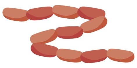 해외-배팅-사이트