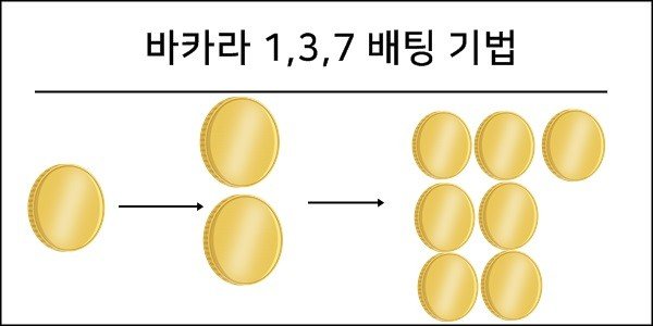  1,3,7 배팅